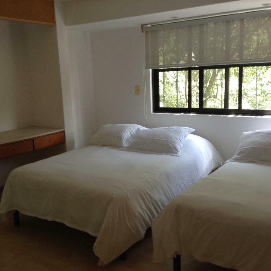 Lovely Apartment Ahuehuetes 멕시코 시 외부 사진