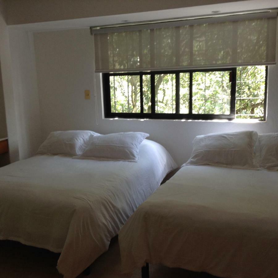 Lovely Apartment Ahuehuetes 멕시코 시 외부 사진