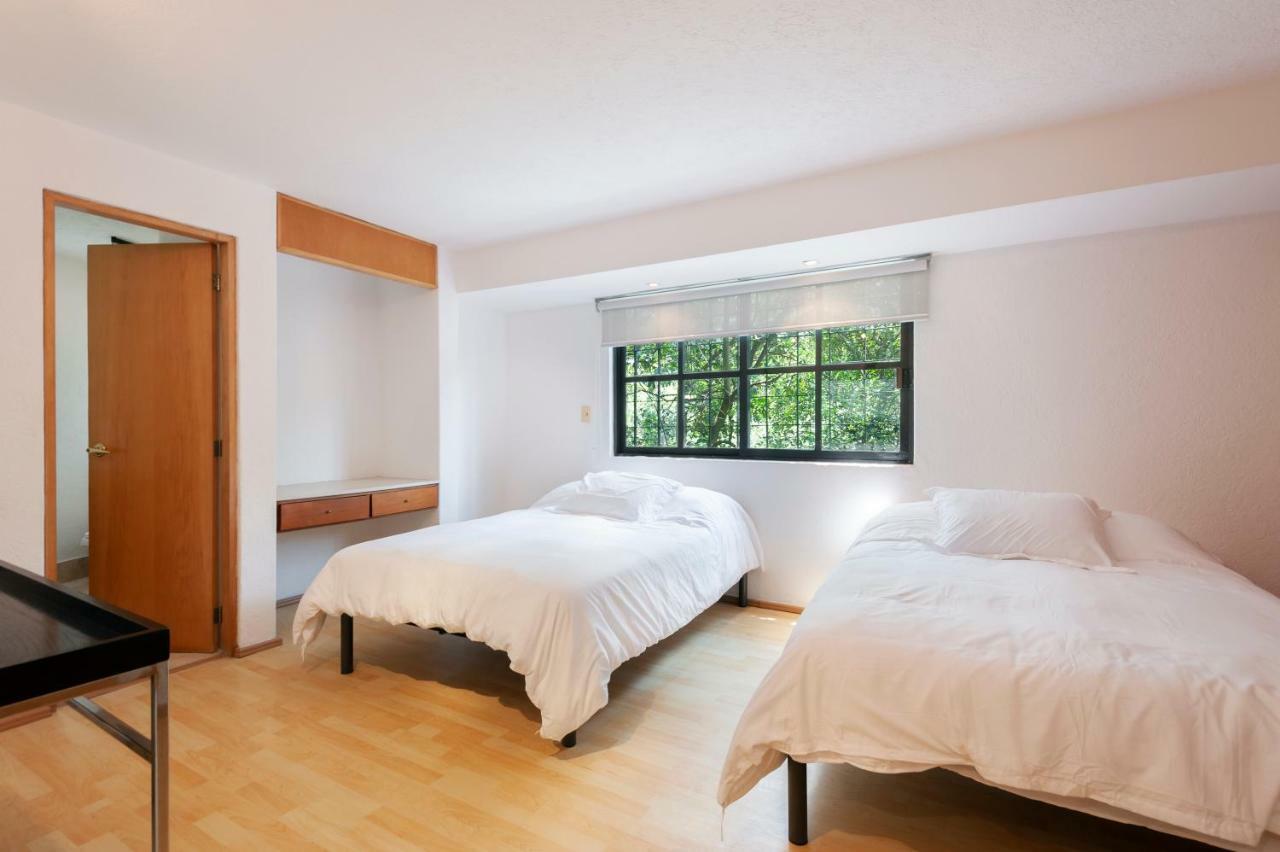 Lovely Apartment Ahuehuetes 멕시코 시 외부 사진